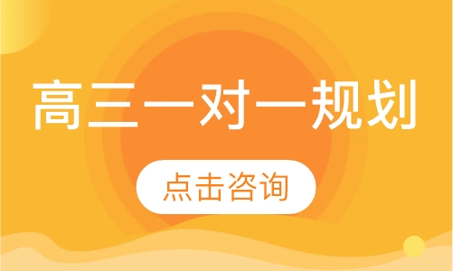 高三一对一规划
