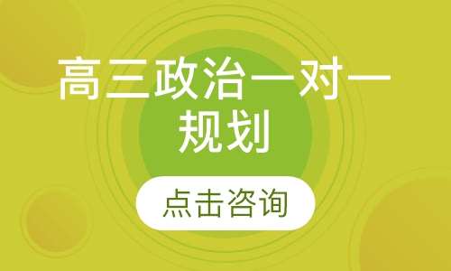 高三政治一对一规划