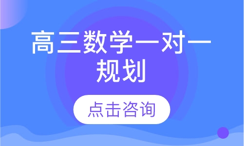 高三数学一对一规划